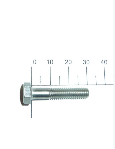 Bolt M6 S/S HEX